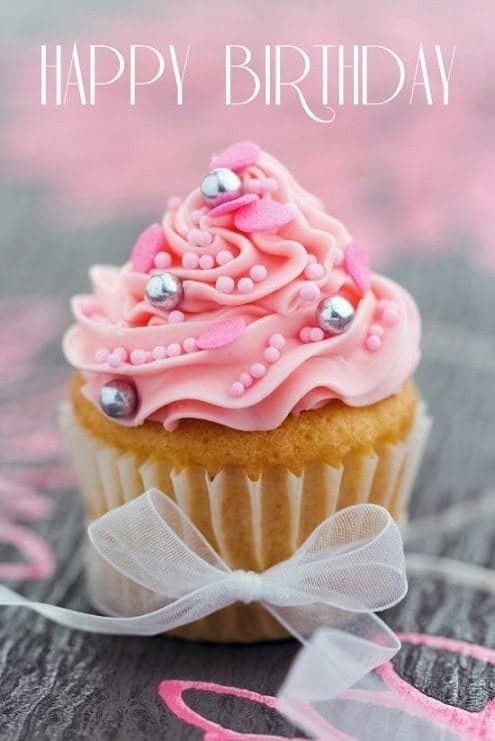 Classic Gourmet Frosted Cupcake