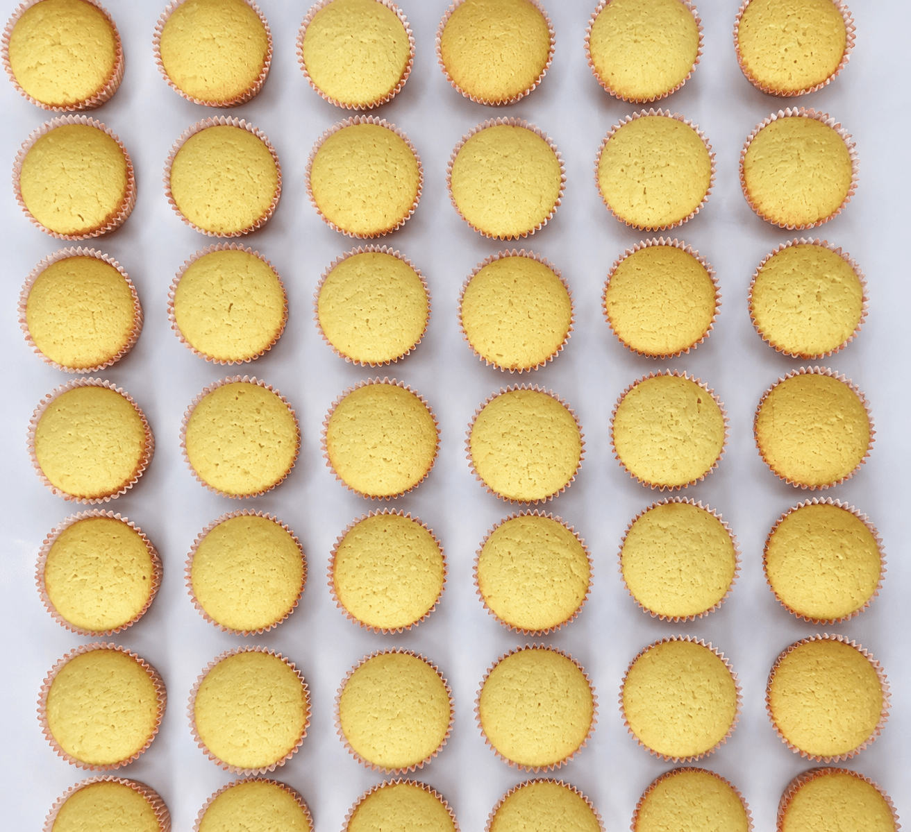 Freshly Baked Artisanal Bakery Muffins (Tray of 12)